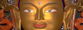 The Himalayas CD ROM